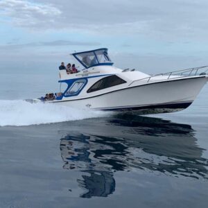 Isabela - Santa Cruz