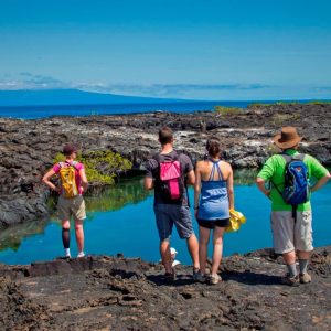 Complejo de Humedales