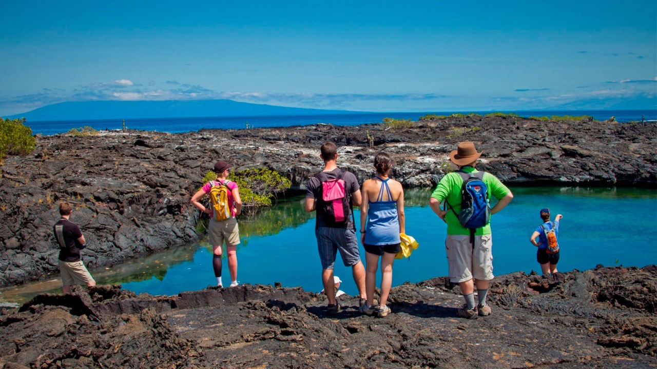 B4995901-2EA9-4240-B397-067A0A78D6FA